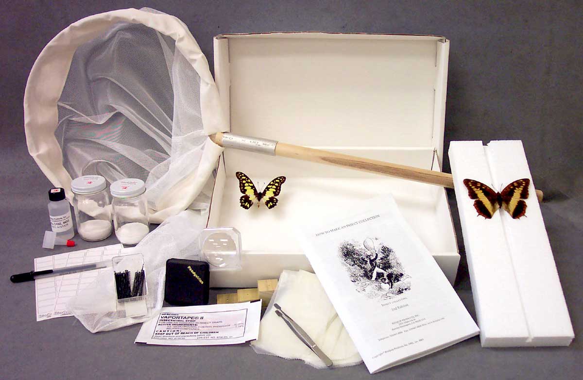 Student Insect Collecting and Mounting Kit
